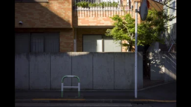 Die Vorteile eines modernen Betonzauns für Ihren Garten