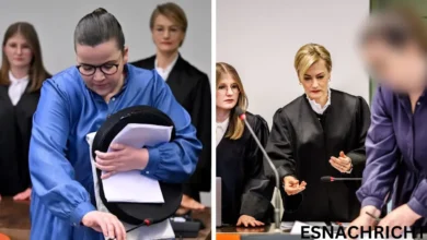 Andrea Tandler Lebenslauf