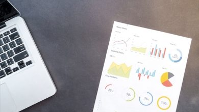 SEO-Agentur für Startups