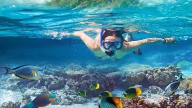 Underwater Photography Tips for Nusa Penida Bali