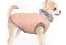 Hundejacken und -schuhe