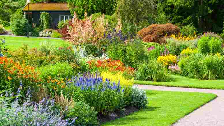 Mehr Farbe in den Garten bringen