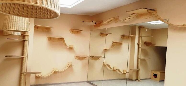 Hochwertige Katzenregale als stilvolles Wohnaccessoire