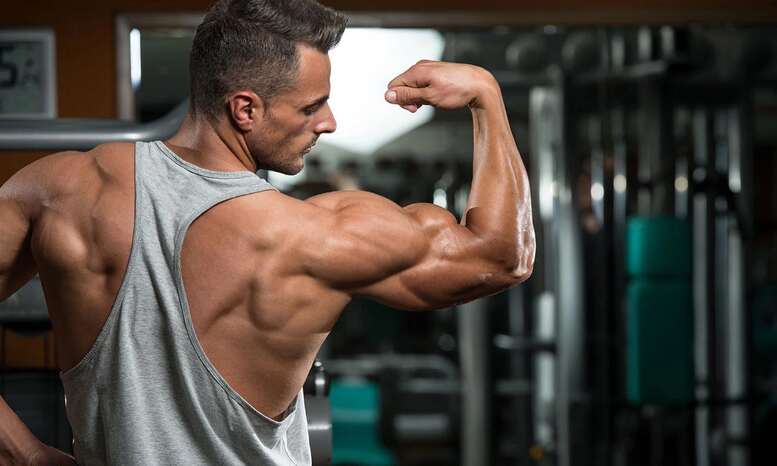 Ihre Säule für sichere Bodybuilding-Ziele