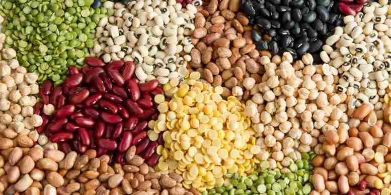 Die moderne Attraktivität hochwertiger Genetik verstehen