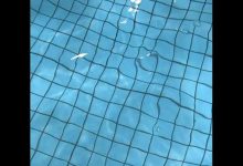 Die besten Tipps, um dein Poolwasser im Frühling schnell wieder sauber zu bekommen