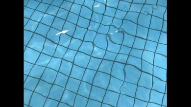 Die besten Tipps, um dein Poolwasser im Frühling schnell wieder sauber zu bekommen