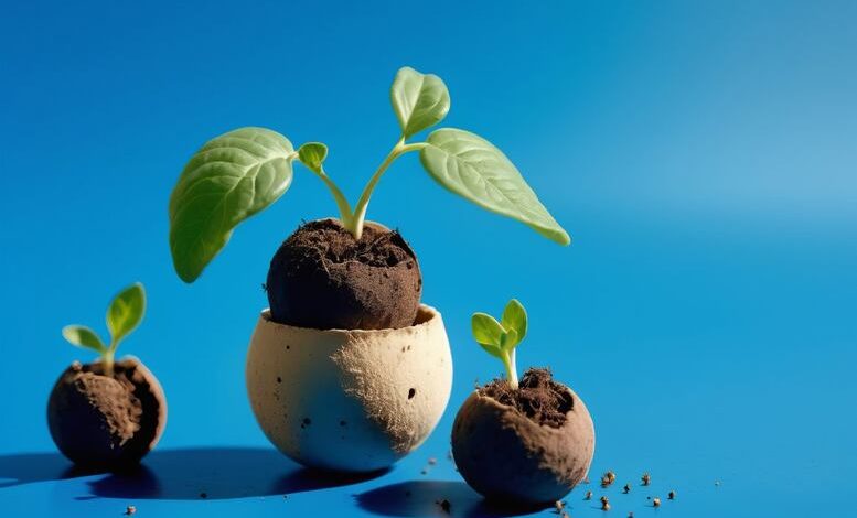 Mehr Grün im Alltag